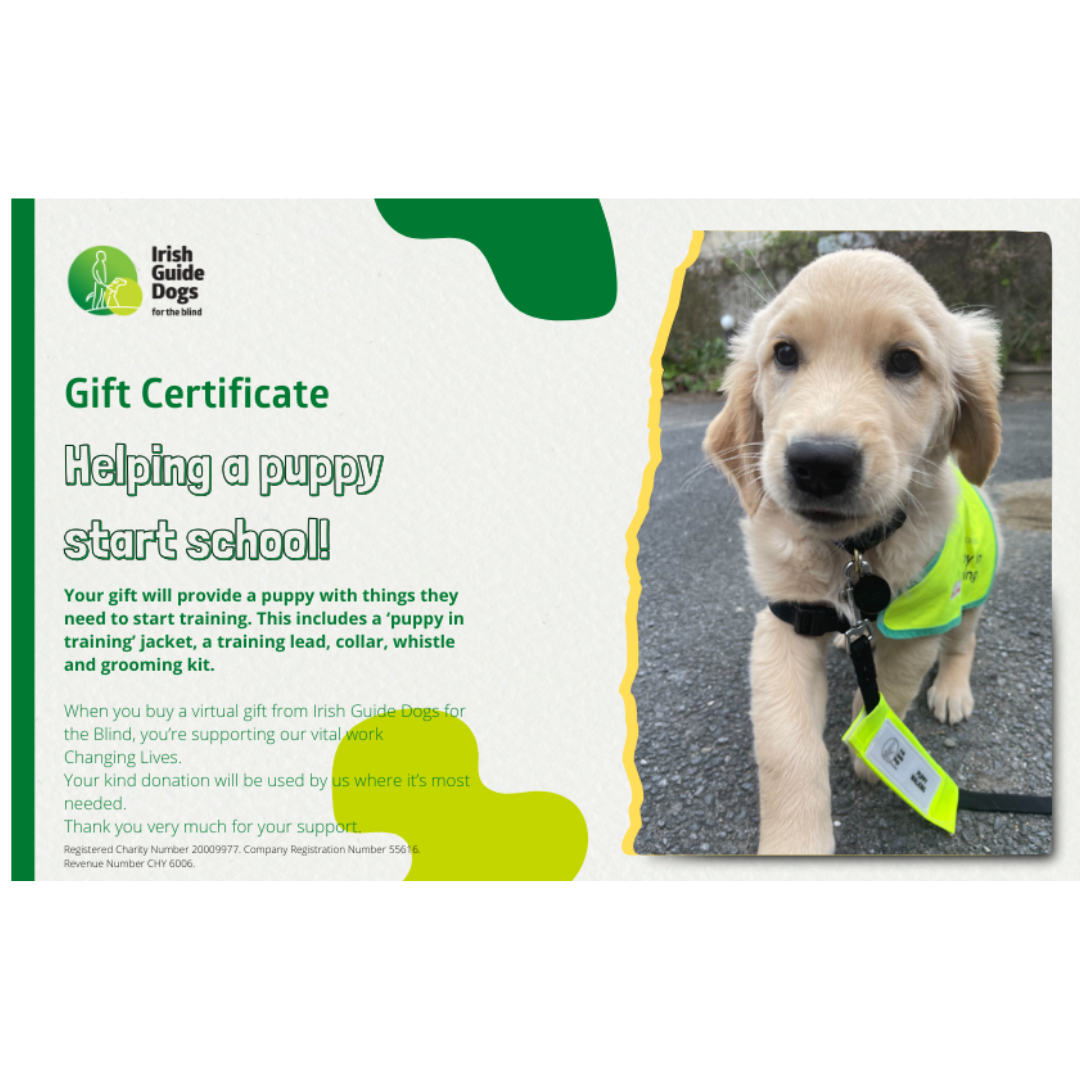 Helping a puppy start school! – Irish Guide Dogs for the Blind