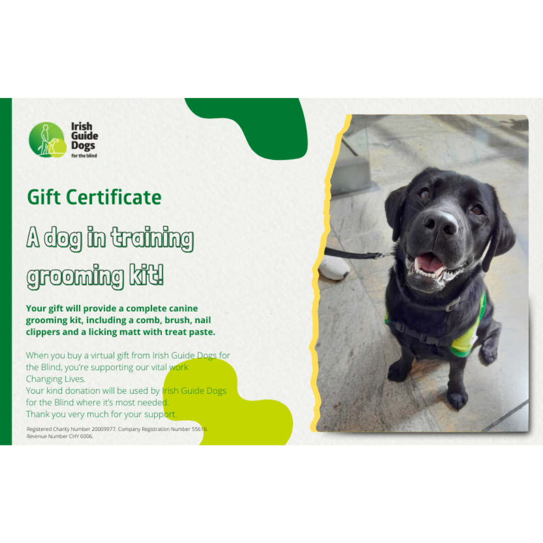 A Dog in Training grooming kit!