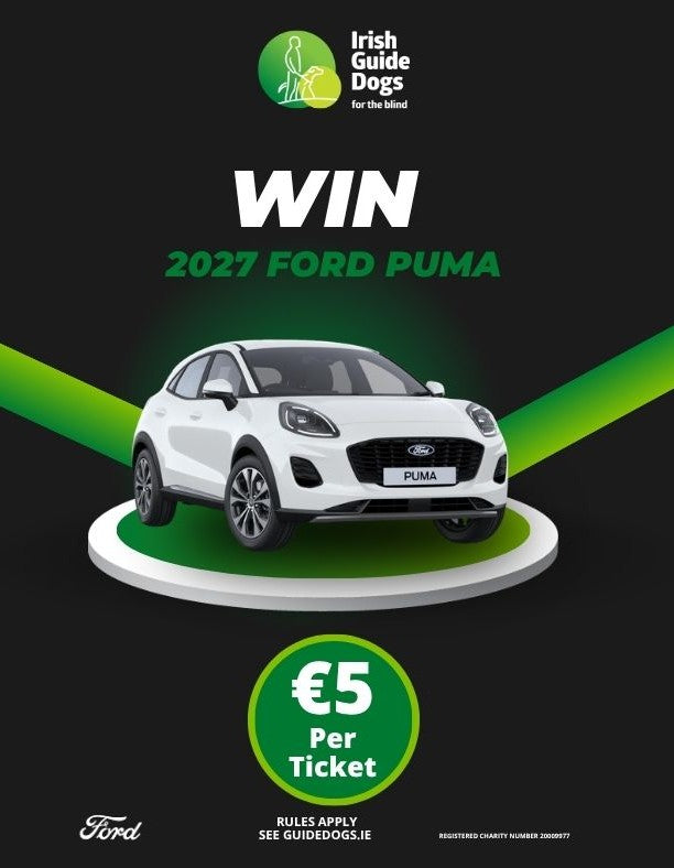 Car Raffle Ticket 2027