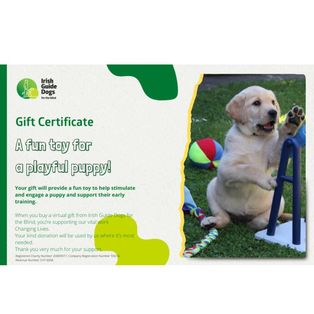 A fun toy for a playful puppy!