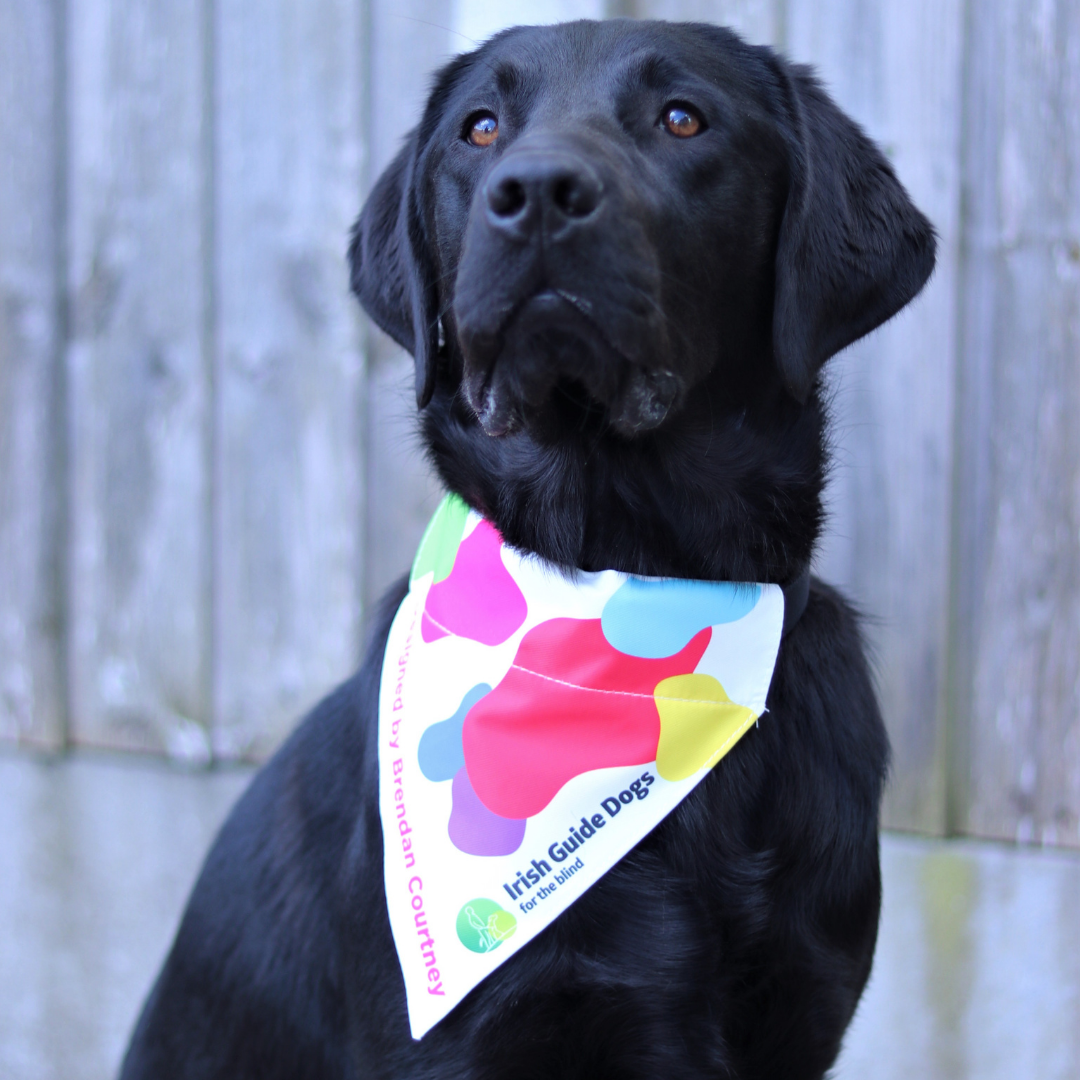 Brendan Courtney Bandana