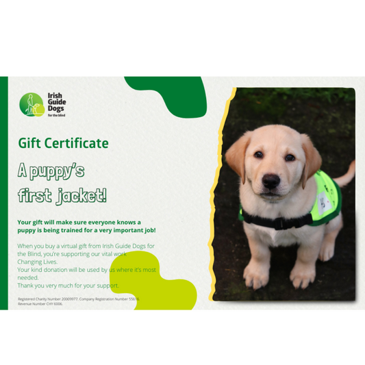 A puppy’s first jacket!