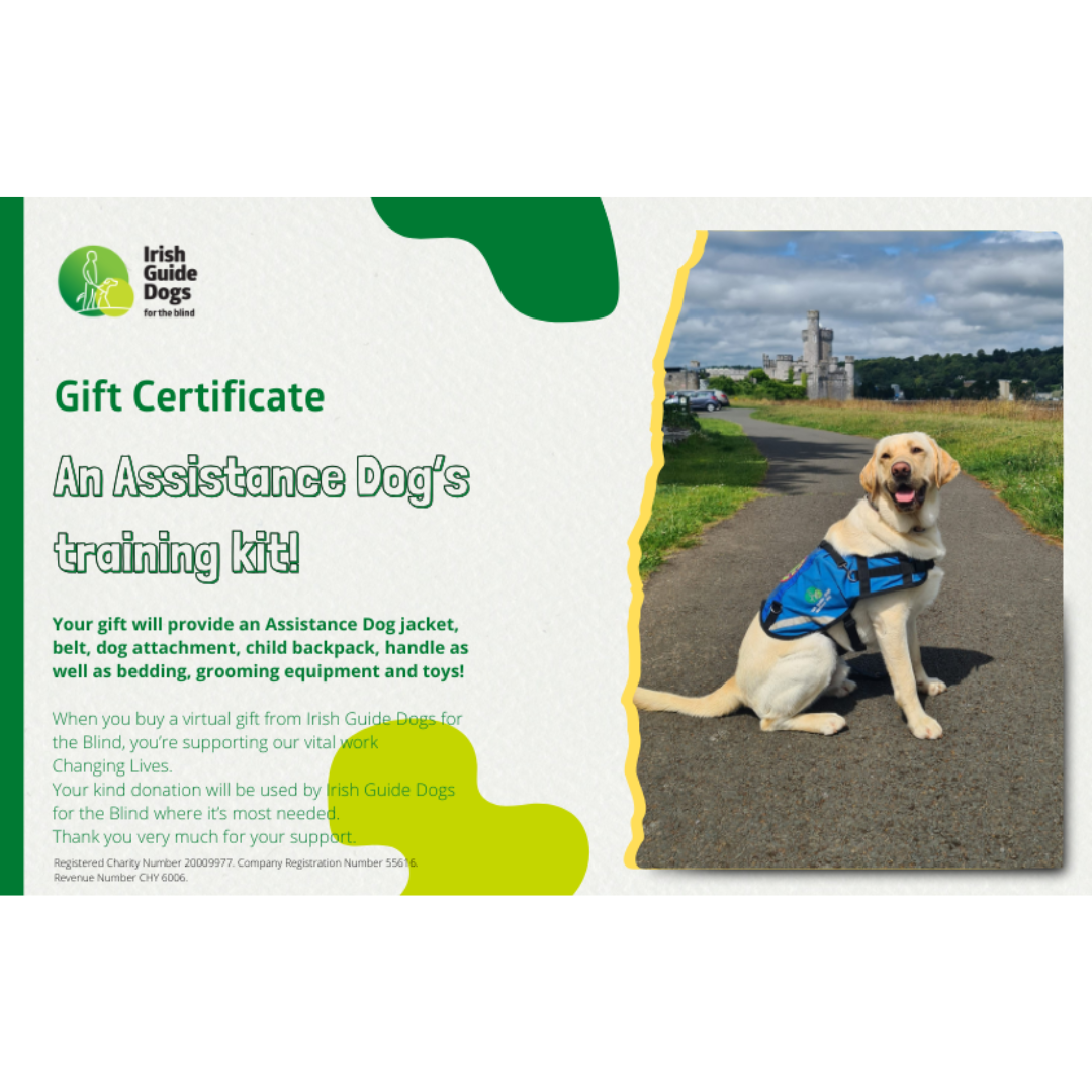 An Assistance Dog's training kit!