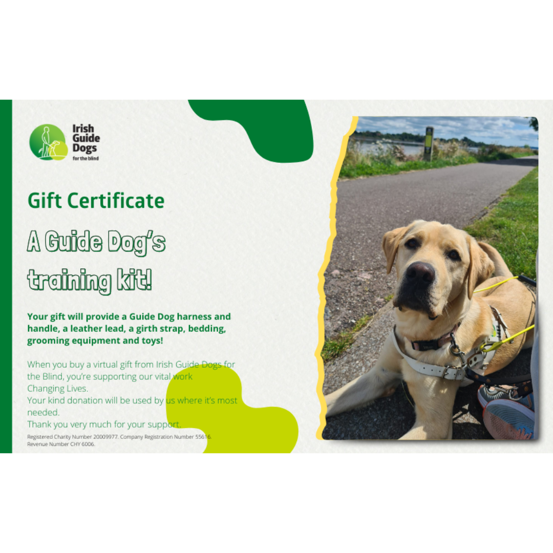 A Guide Dog’s  training kit!