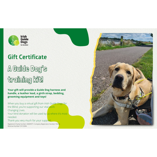 A Guide Dog’s  training kit!