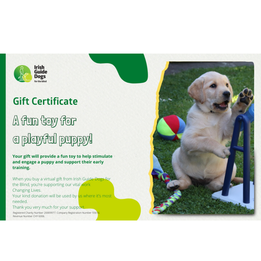 A fun toy for a playful puppy!