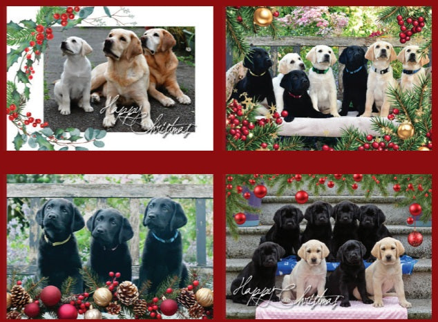 Christmas Cards Pack 2026 – 8 Cards