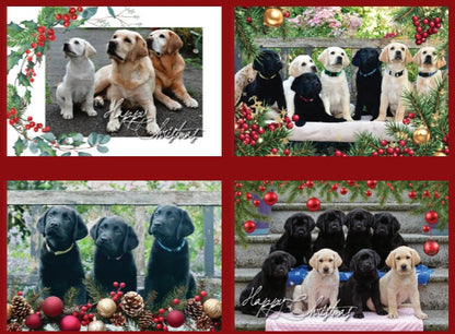 Christmas Cards Pack 2026 – 8 Cards