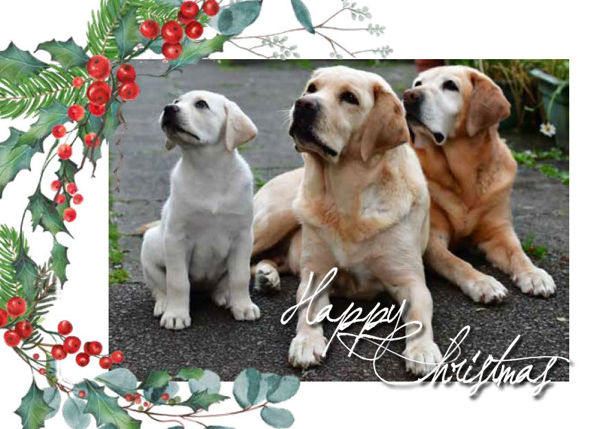 Christmas Cards Pack 2026: 2 for €10
