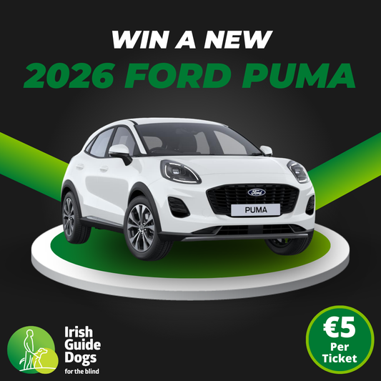 Car Raffle Ticket 2026