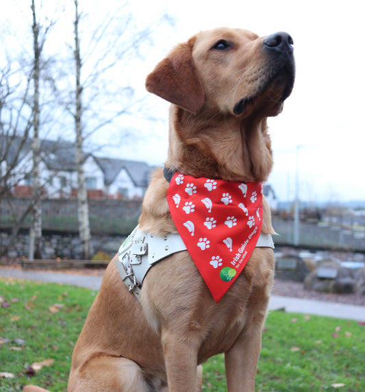 Christmas Bandana