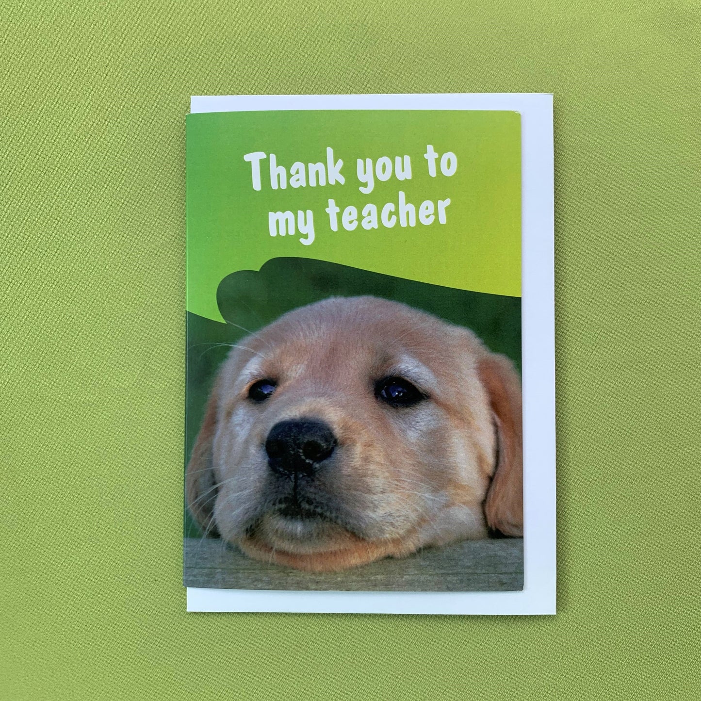 The front cover of the card with a photo of a puppy and thank you to my teacher in writing.