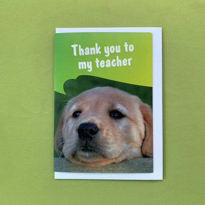 The front cover of the card with a photo of a puppy and thank you to my teacher in writing.